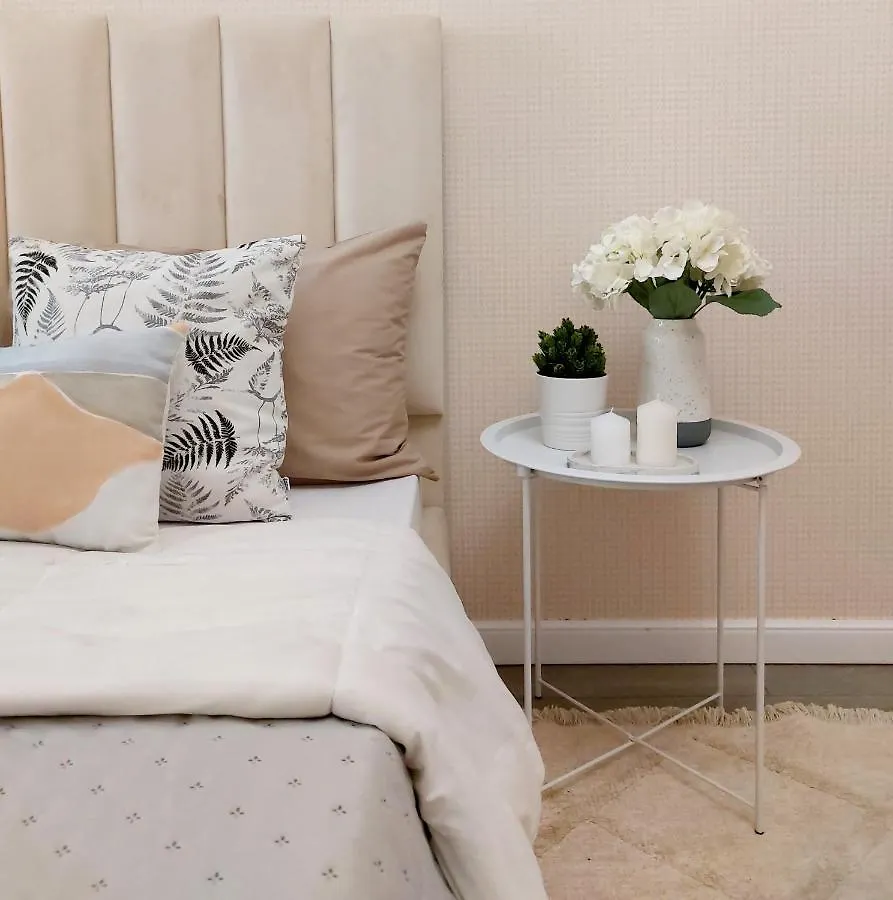 Apartament Просторная 1-Комнатная Квартира В Центре Столицы